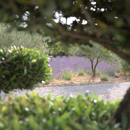 Villa Otilia-Bed And Breakfast-Chambres D'Hotes En Provence Rians  エクステリア 写真