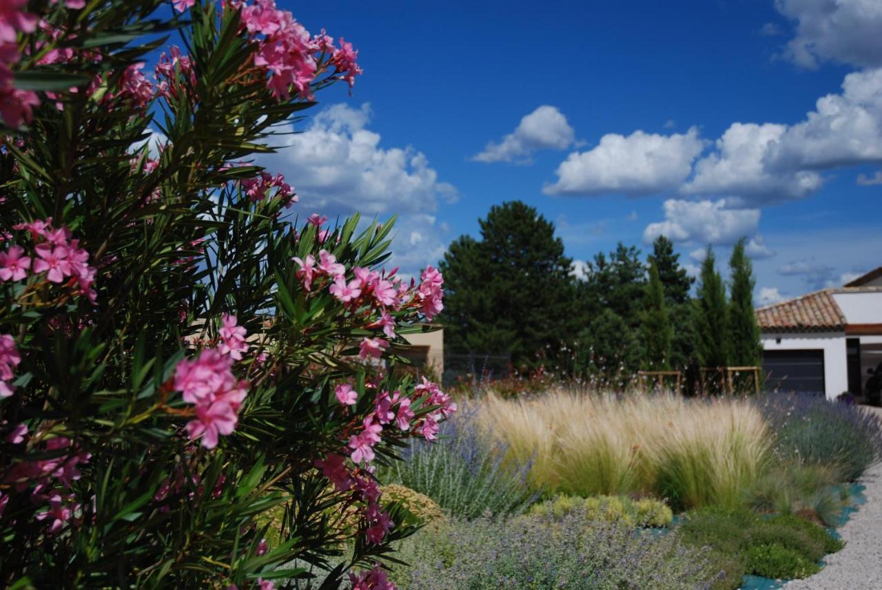 Villa Otilia-Bed And Breakfast-Chambres D'Hotes En Provence Rians  エクステリア 写真