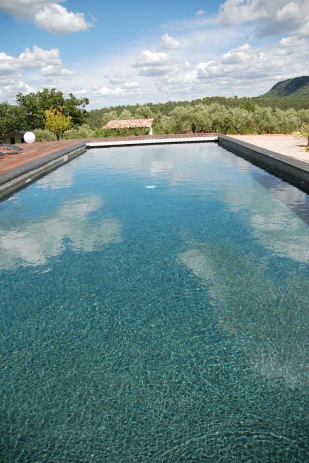 Villa Otilia-Bed And Breakfast-Chambres D'Hotes En Provence Rians  エクステリア 写真