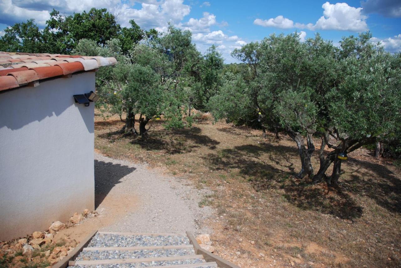 Villa Otilia-Bed And Breakfast-Chambres D'Hotes En Provence Rians  エクステリア 写真
