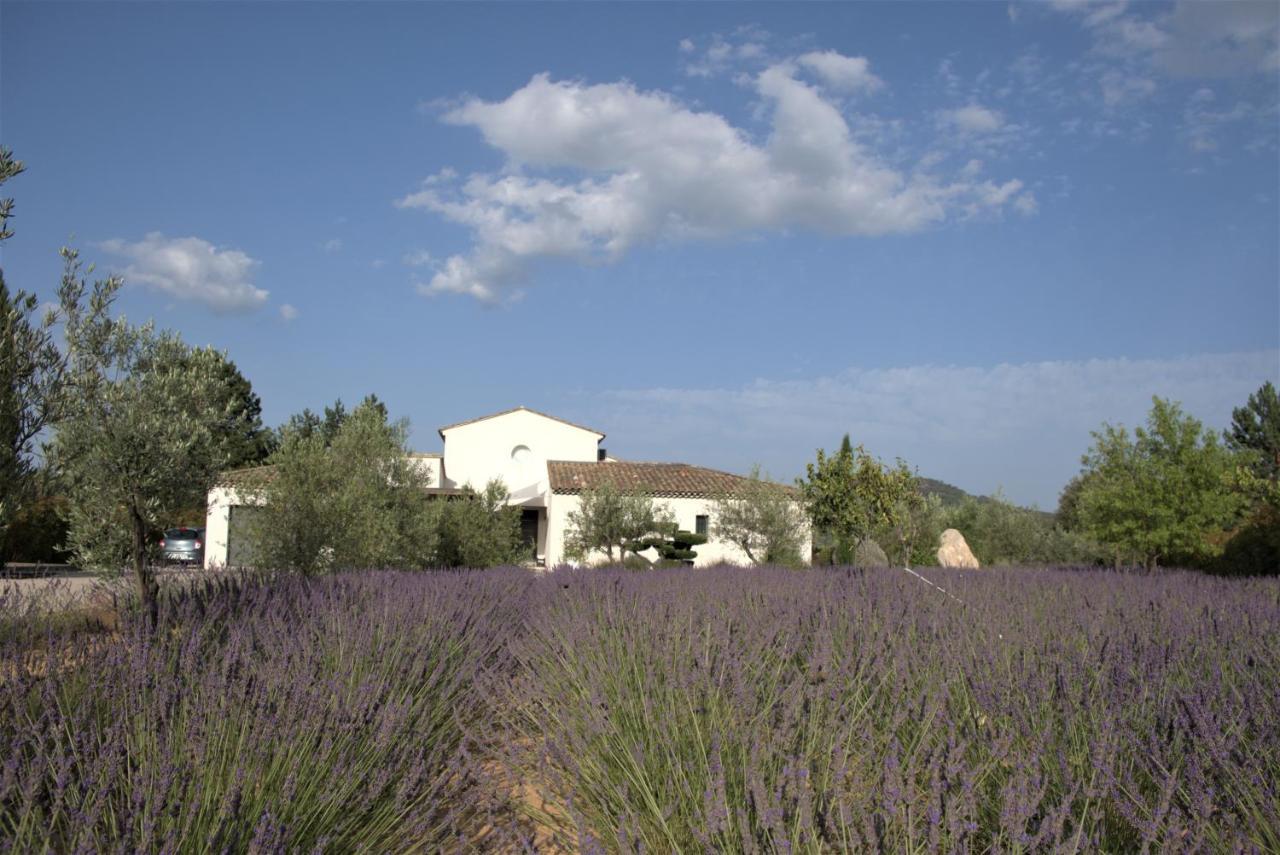 Villa Otilia-Bed And Breakfast-Chambres D'Hotes En Provence Rians  エクステリア 写真