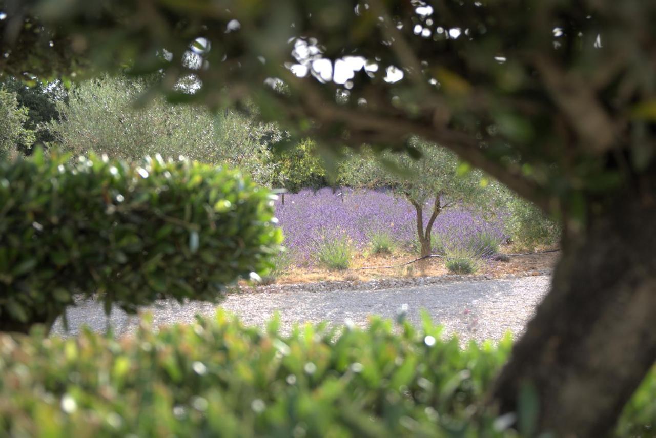 Villa Otilia-Bed And Breakfast-Chambres D'Hotes En Provence Rians  エクステリア 写真
